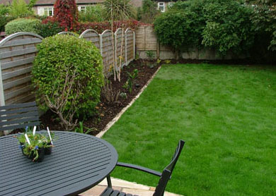 backgarden