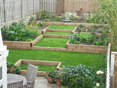 raised veg bed