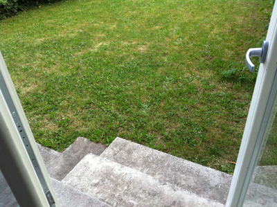 step 1