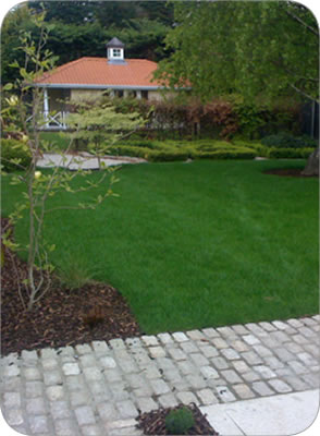 large garden